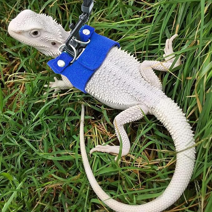 Bearded Dragon Harness and Leash Set, 3 Size Adjustable Soft Leather Reptile Leash, Lizard Harness with Retractable, Small Animal Outdoor Walking Vest with Traction Rope, 3 Pack (Blue)