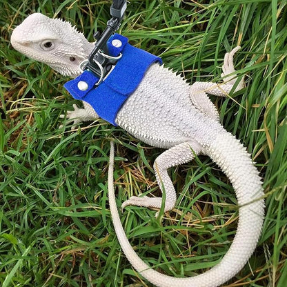 Bearded Dragon Harness and Leash Set, 3 Size Adjustable Soft Leather Reptile Leash, Lizard Harness with Retractable, Small Animal Outdoor Walking Vest with Traction Rope, 3 Pack (Blue)