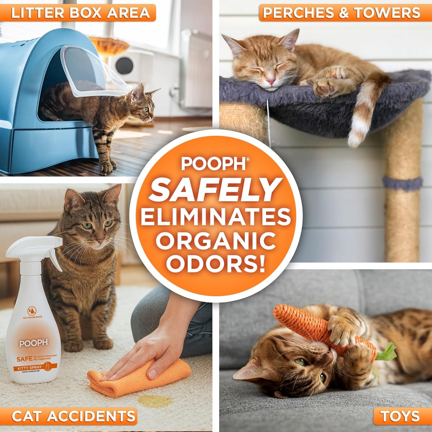 POOPH® Kitty Odor Eliminator – 32 fl oz Bottle – Proprietary Odor-Elimination Technology Works On-Contact – Cat Trees, Toys, Furniture, Bedding – NO Fragrances, NO Harsh Chemicals, Safe & Non-Toxic