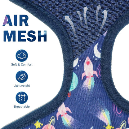 SCENEREAL Small Dog Harness Collar and Leash Set, Adjustable No Pull Pet Harnesses, No Chock Soft Mesh Step in Vest for Doggie Puppy Medium Dogs Cats Girl or Boy,Chihuahua, Yorkie, Outdoor Walking