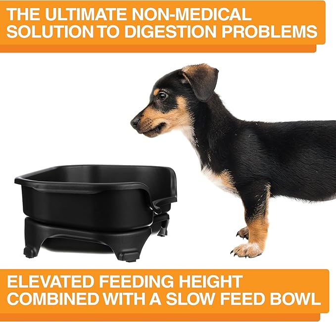 Neater Feeder Express Mess Proof Dog Bowls Elevated for Small Breed – Made in USA – No Spill Raised Slow Feeder Elevated Dog Bowl Stand, Stainless Steel Food and Water Bowl Set, Black