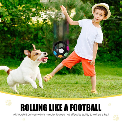 Dog Toy Ball with Handle, Toss and Fetch Play, Interactive Ball for Dogs Playing, Squeaky Floating (Black)