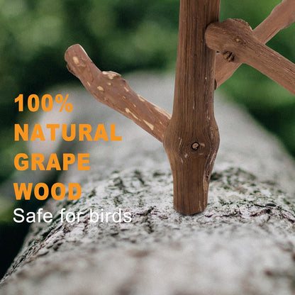 Bird Perch Stand Toy, Natural Grapevine Wood Parrot Perch Bird Cage Branch Accessories for Parakeets Cockatiels Conures Macaws Finches Love Birds(9.8" Length)