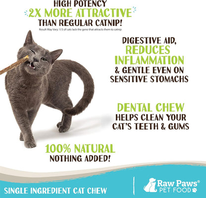 Raw Paws Silvervine Sticks for Cats (30 Pack) - Silvervine Cat Toy for Indoor Cats - Catnip Sticks - Silver Vine Cat Chew Stick