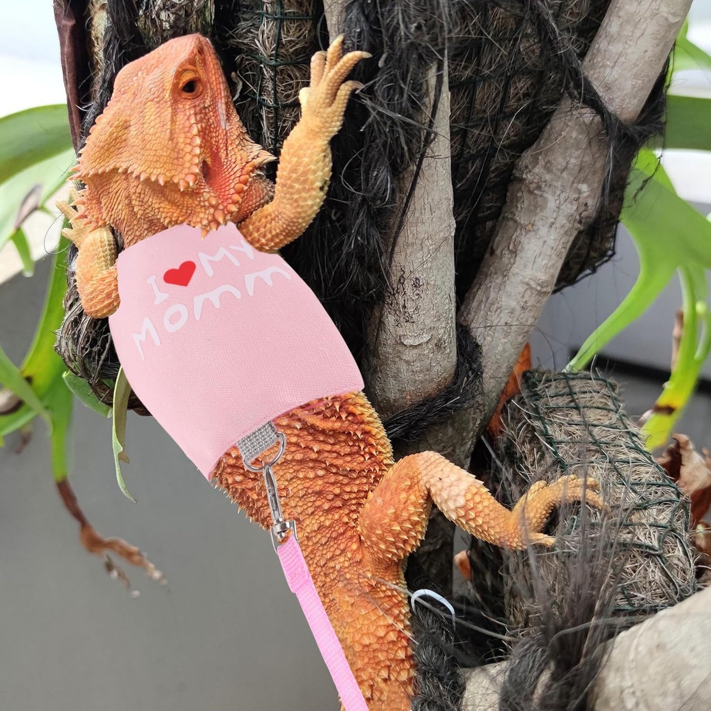 Bearded Dragon Adjustable Harness with Leash,Bearded Dragon Harness Leash Set for Lizards,Chameleon,Rat and Other Small Animal,Traction Rope Walking Leash Reptile Halloween Costume Accessories