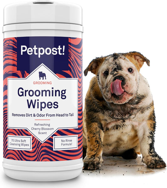 Petpost Large Grooming Wipes for Dogs | 70 Count Deodorizing Dog Cleaning Wipes with Coconut Extract & Aloe | Gentle Pet Wipes with Cherry Blossom Scent for Full-Body Grooming