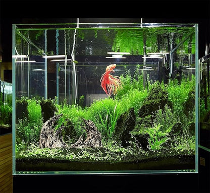 Novelsite Fish Tank Decor- Jagged Canyon Rock Formation ，Made of Solid Sandstone，Suitable for a Variety of Fish Tank Scenes, DIY Planting Moss, Safe and Non-Toxic