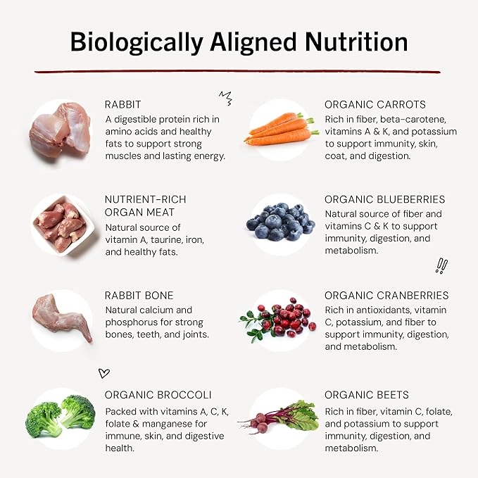 Stella & Chewy's Freeze-Dried Raw Dinner Patties - Absolutely Rabbit Recipe - High Protein Grain-Free Puppy & Dog Food - Perfect For Picky Eaters - 14 oz