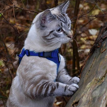 Voyager Step-in Lock Adjustable Cat Harness w. Cat Leash Combo Set with Neoprene Handle 5ft - Supports Small, Medium and Large Breed Cats by Best Pet Supplies - Royal Blue, XXS