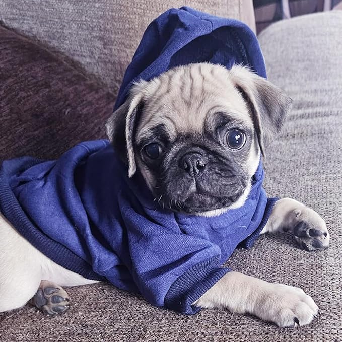 Jecikelon Winter Dog Hoodie Sweatshirts with Pockets Warm Dog Clothes for Small Dogs Chihuahua Coat Clothing Puppy Cat Custume (Navy, X-Large)