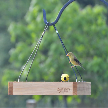 Nature's Way Bird Products CWF3 Cedar Platform Tray Bird Feeder 12" x 12" (Pack of 4)