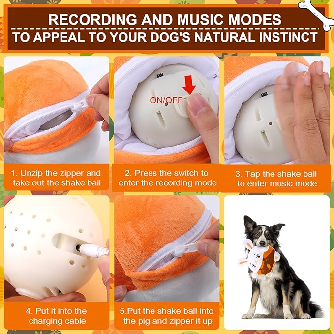 BABORUI Interactive Dog Toys Bunny, Jumping Squeaky Easter Dog Toys with Recording and Music Modes, Rechargeable Moving Dog Easter Rabbit Toys for Small/Medium/Large Dogs to Keep Them Busy(Bunny)