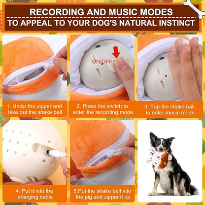 BABORUI Interactive Dog Toys Bunny, Jumping Squeaky Easter Dog Toys with Recording and Music Modes, Rechargeable Moving Dog Easter Rabbit Toys for Small/Medium/Large Dogs to Keep Them Busy(Bunny)