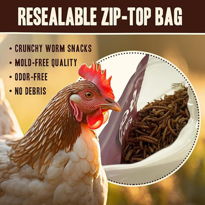 Dried Mealworms for Chickens, Birds, Hamster, Reptile and Turtle - Premium Non-GMO Treats with 55% Protein for Laying Hens - Organic Food for Wild Bird, Bluebirds, Robins, Cardinals. 5 Lb