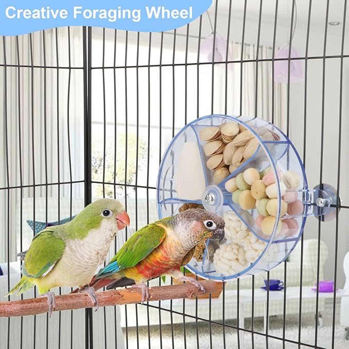 Bird Creative Foraging System Wheel Seed Food Ball Rotate Training Toy for Small and Medium Parrots Parakeet Cockatiel Conure (Clear Blue)