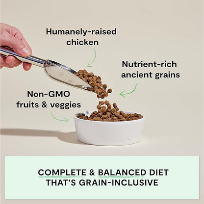 Open Farm, Ancient Grains Dry Dog Food, Protein-Rich & Nutrient Dense, 90% Animal Protein Mixed with Non-GMO Fruits, Veggies and Superfoods, Harvest Chicken Recipe, 22lb Bag