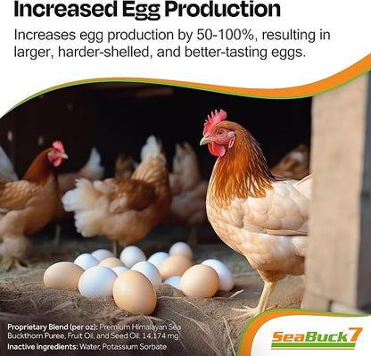 Chicken & Bird Supplement with Sea Buckthorn to Improve Egg Quality (1-Month Supply for 20 Chickens) – Earlier Laying, Egg Production Booster & Higher Quality Eggs