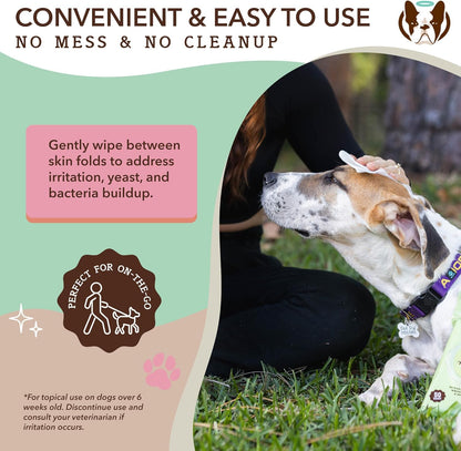 Natural Dog Company XL Grooming Wipes for Dogs – Hypoallergenic, Biodegradable, Fragrance Free – Aloe Vera & Witch Hazel – Large 7×8 in Wipes for Paws, Face, Ears & Butt – 200 Count Sensitive Skin