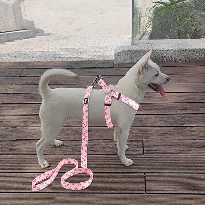 QQPETS Dog Harness Leash Set Adjustable Heavy Duty No Pull Halter Harnesses for Small Medium Large Breed Dogs Back Clip Anti-Twist Perfect for Walking (XS(12"-18" Chest Girth), Sakura Pink)