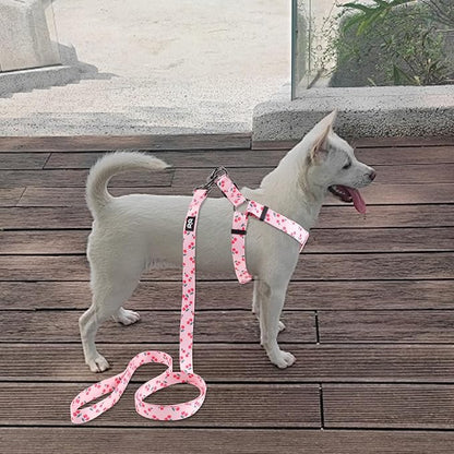QQPETS Dog Harness Leash Set Adjustable Heavy Duty No Pull Halter Harnesses for Small Medium Large Breed Dogs Back Clip Anti-Twist Perfect for Walking (XS(12"-18" Chest Girth), Sakura Pink)