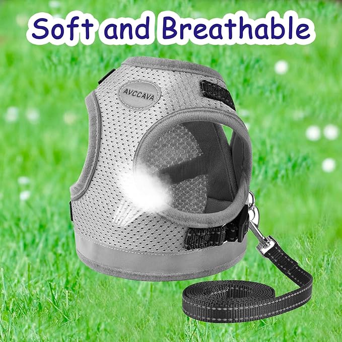 Cat Harness and Leash for Walking, Kitten Escape Proof Harnesses, Adjustable Reflective Puppy Harness with Leashes Set, Easy Adjustable Soft net Breathable Pet Safety Vest XS (Chest: 6" - 8") Grey