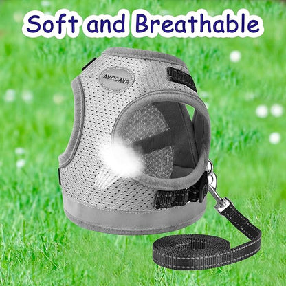 Cat Harness and Leash for Walking, Kitten Escape Proof Harnesses, Adjustable Reflective Puppy Harness with Leashes Set, Easy Adjustable Soft net Breathable Pet Safety Vest M (Chest: 12" - 14") Grey