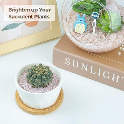 T4U Tumbled Chips Stones Crushed Crystal Quartz 2 LB, Irregular Shaped Gravel Pebble Healing Stone, DIY Smoothed Rock for Potted Plant,Resin Art,Vase Fillers Aquarium Gravel Rocks (Light Rose)