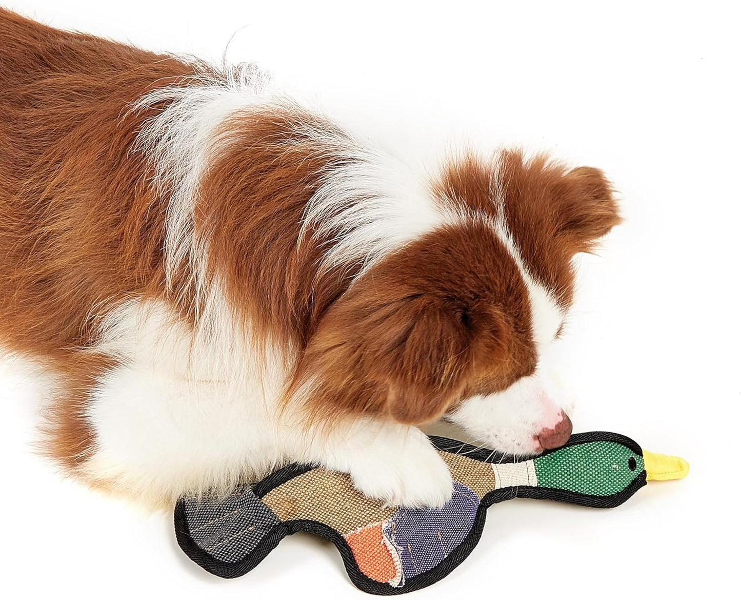 Duck Squeaky Dog Toys, Dog Chew Toy, Puppy Chew Toys for Teething, Indestructible Dog Toys for Aggressive Chewers, Dog Toy for Small Medium Large Breed