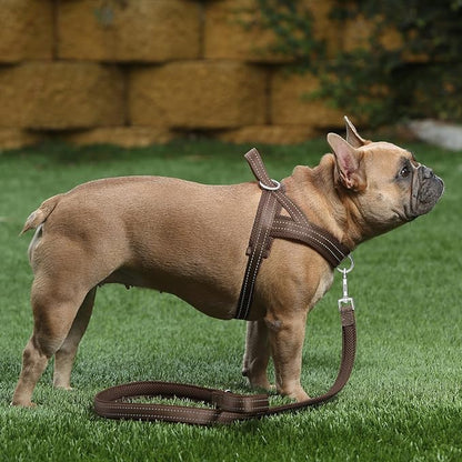 Plutus Pet No Pull Dog Harness with Breathable Mesh Padded, Adjustable Reflective Escape Proof Dog Harness, Quick Fit Dog Vest Harness for Small Medium Large Dogs(S, Chocolate)