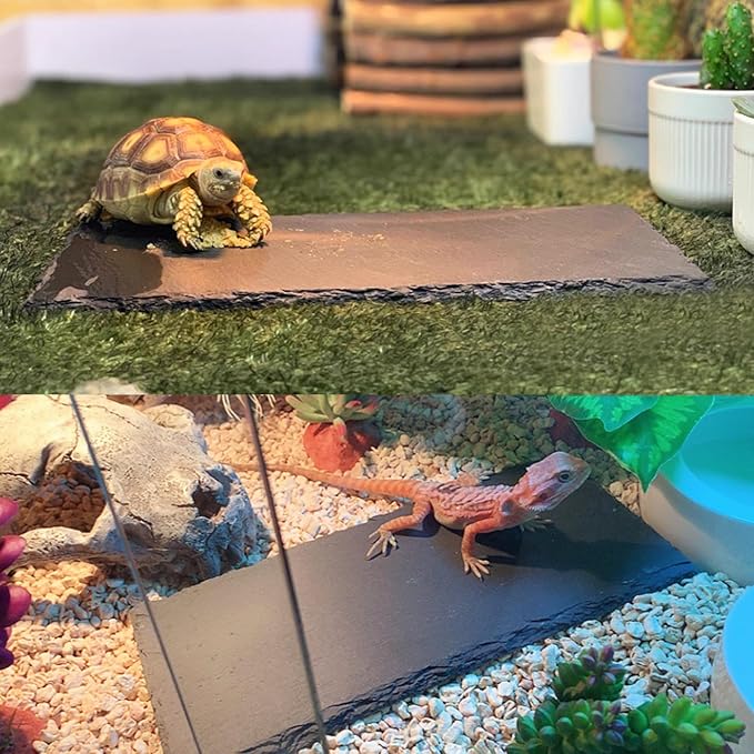 Reptile Basking Platform Tortoise Rock Plate 9.8’’x4.7’’ Feeding Food Bowl Slate Dish Turtle Bathing Resting Terrace for Lizard Bearded Dragon Chameleon Gecko Snake Frog Newt