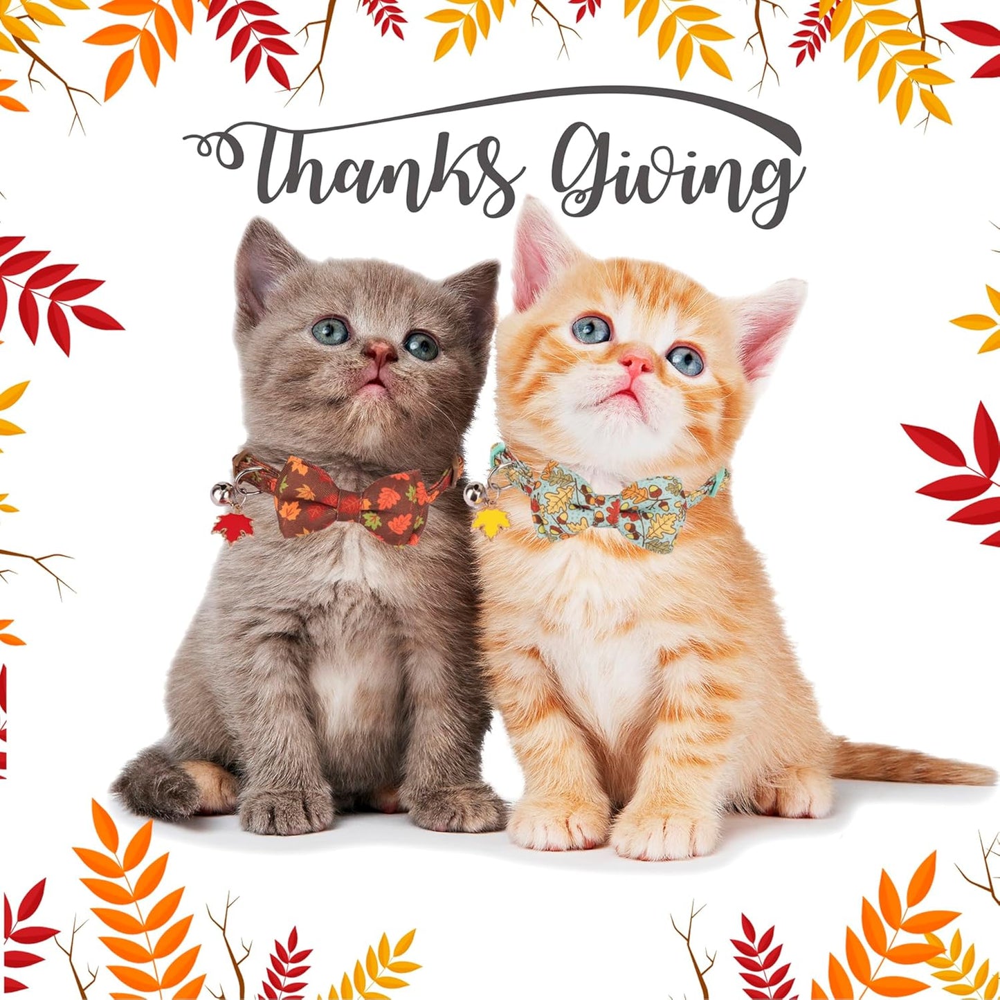 ADOGGYGO 2 Pack Fall Cat Collar with Removable Bow Bell, Brown Green, Halloween Thanksgiving Fall Collars for Cat Kitten