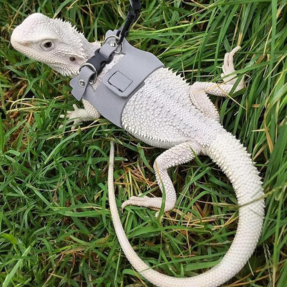 Bearded Dragon Harness and Leash Set, 3 Size Adjustable Soft Leather Reptile Leash, Lizard Harness with Retractable, Small Animal Outdoor Walking Vest with Traction Rope, 3 Pack, Grey