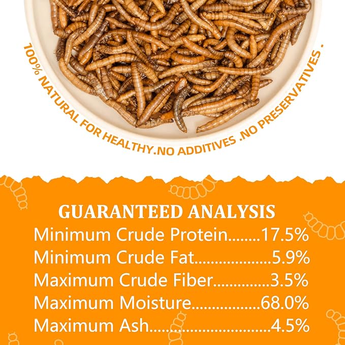 6 Pack Canned Mealworms for Reptiles, Fish, Birds and Small Animals, Meal Worms, Healthy High Protein Treat, Reptile Bird Fish Food 7.2 Ounces Total