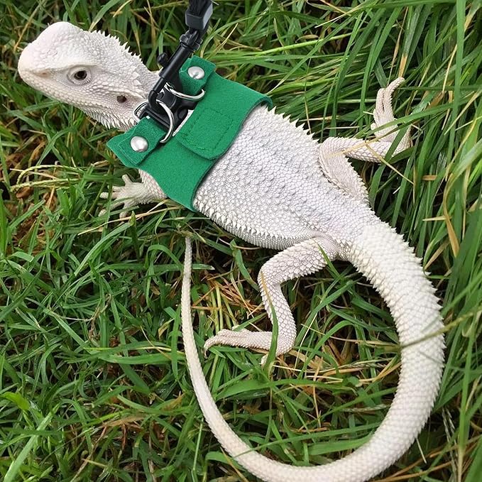 Bearded Dragon Harness and Leash Set, 3 Size Adjustable Soft Leather Reptile Leash, Lizard Harness with Retractable, Small Animal Outdoor Walking Vest with Traction Rope, 3 Pack (Green)