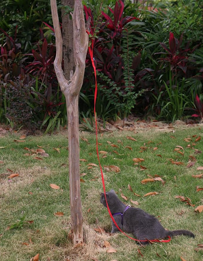 AMAGOOD 6 FT Cat Leash, Strong and Durable Traditional Style Leash with Easy to Use Collar Hook,Cat Lead Great for Cats (3/8 in x 6 ft,Black and Red(2-Pack))