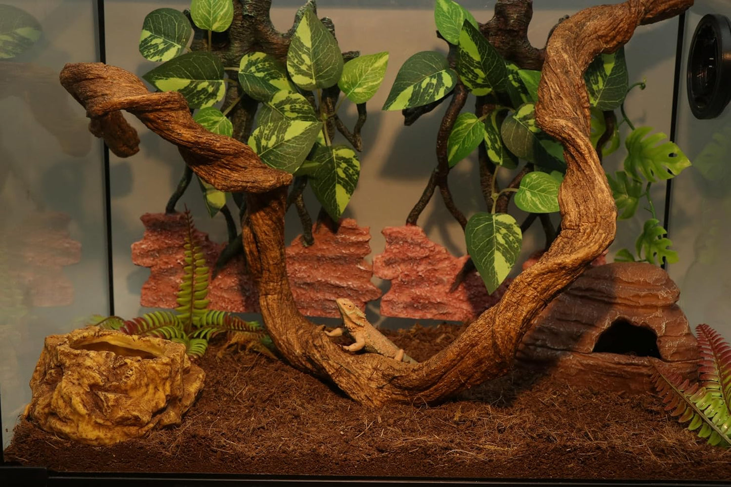 AQUA KT Reptile Twist Climber Vine Bendable Branch for Lizard Snake Bearded Dragon Crested Gecko Climbing Accessory Terrarium Habitat Decoration