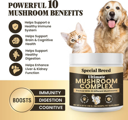 Mushroom Powder for Dogs & Cats - Organic Mushroom Complex for Immunity Support, Immune Function, Cognition, Vitality - Ten Mushroom Supplement with Turkey Tail, Lion's Mane, Reishi - 360 Scoops