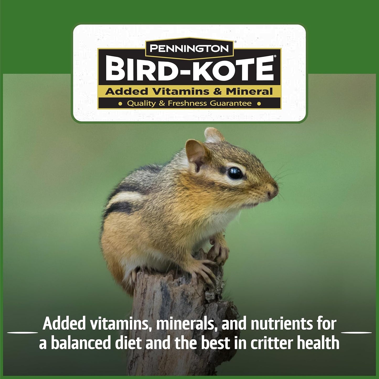 Pennington Pride Squirrel & Critter Blend With Corn, Sunflower Seeds and Peanuts, Helps Keep Critters Away From Bird Feeders, 10-lb. Bag