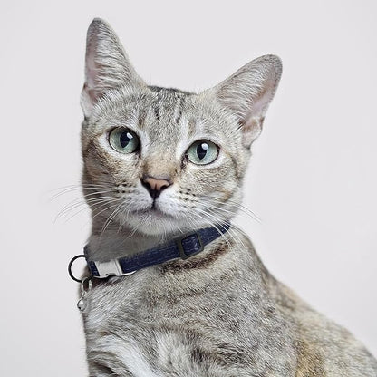 Leather Cat Collar with Buckle and Removable Bell - Non Breakaway Adjustable Soft Safety Small Pet Collars for Girl Boy Cats Kitten (Navy Blue)