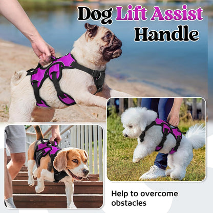 rabbitgoo Escape Proof Dog Harness, Soft Padded Full Body Pet Harness, Reflective Adjustable No Pull Vest with Lift Handle and Lesh Clip for Large Dogs Walking Hiking Training, S, Purple