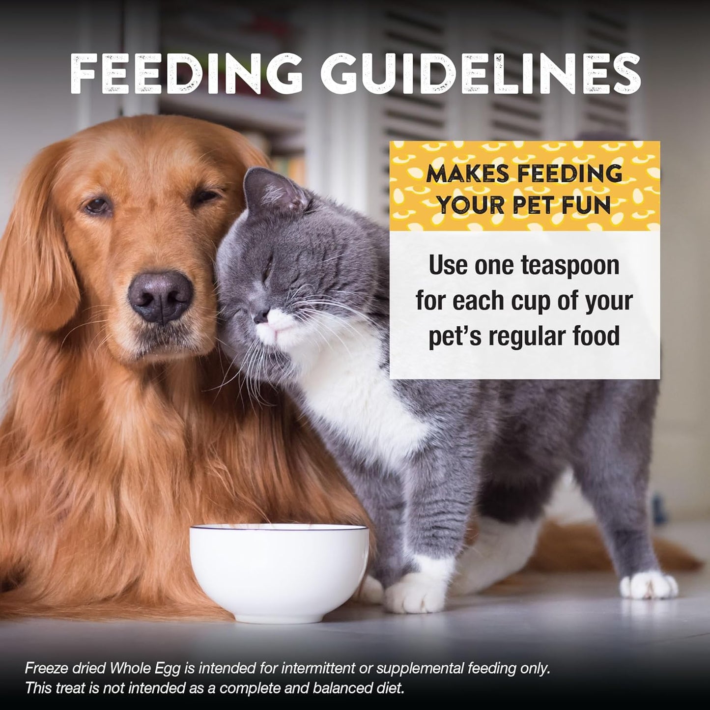 Northwest Naturals Freeze-Dried Whole Chicken Egg Functional Topper - for Dogs & Cats - Healthy, 1 Ingredient, Human Grade Ingredients, All Natural, Proudly Made in USA, 4 Oz (Pack of 2)