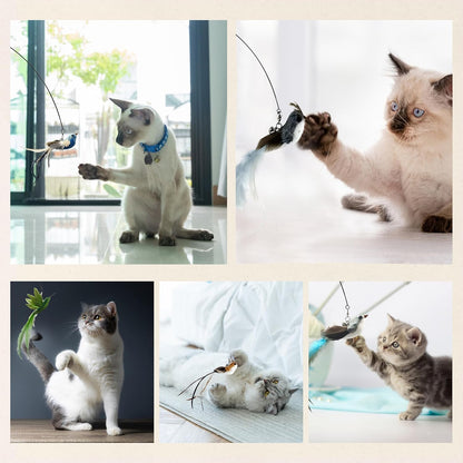 Deluxe Bird Replacement Heads for Cat Toys - Set of 5 - Realistic Feather Designs Including Blue Floral, Two-Tone, Traditional, Black & White, Green Hummingbird - Easy Clip-On