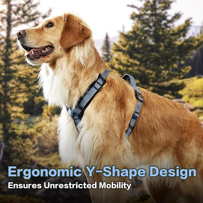 PawsPassion Dog Harness for Medium Dogs, No Pull Dog Harness Easy Walk with Metal Hardware, Ergonomic Y-Shaped Design, Soft Padding, Padded Handle, Durable High-Tensile Nylon (Horizon, M)