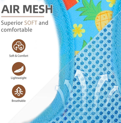 PUPTECK Adjustable Dog Harness Collar and Leash Set Step in No Pull Pet Harness for Small Medium Dogs Puppy and Cats Outdoor Walking Running, Soft Mesh Padded Reflective Vest Harnesses, Sky Blue M