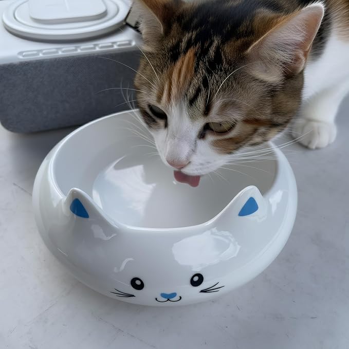 Key Holder Bowl, Home Decor, Desk Decor & Gifts for Girls, Cat Bowls, Ceramic Cat Food Bowl, Cute Kitten Water Bowls with 7.1oz Capacity, Cats Deals, Whisker Fatigue Friendly, Multi-Use