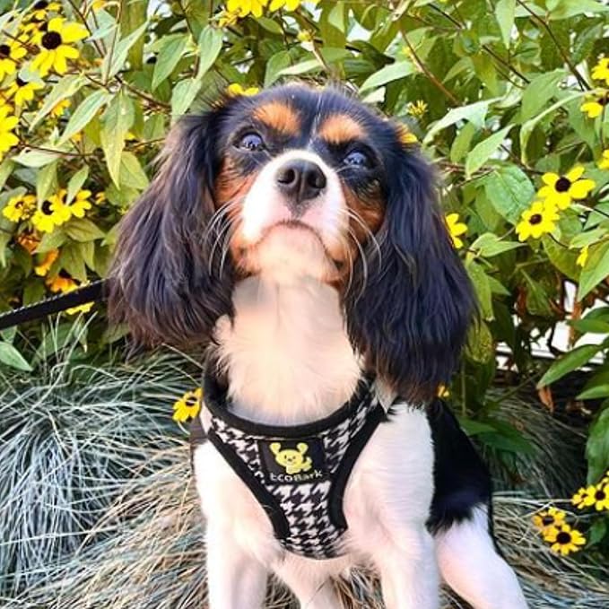 EcoBark Step in Dog Harness - Teacup Dog Harnesses for XXS, XS, and Small Dogs - Soft Mini Body Halter - Puppy to Senior Dogs - Dog Harness Vest Under 5 pounds lbs (XXS, Houndstooth)