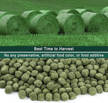 Timothy Hay Cubes 90 oz (9 * 10 oz) with Small Size - Timothy Grass Pellets for Tortoises Rabbits Guinea Pig Chinchilla