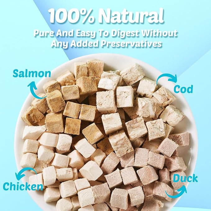 Turtle Food - 4 in 1 Natural Freeze-Dried Chicken, Duck, Salmon, Cod – Real Meat Snacks for Aquatic & Box Types, Cats & Dogs – Human-Grade Quality
