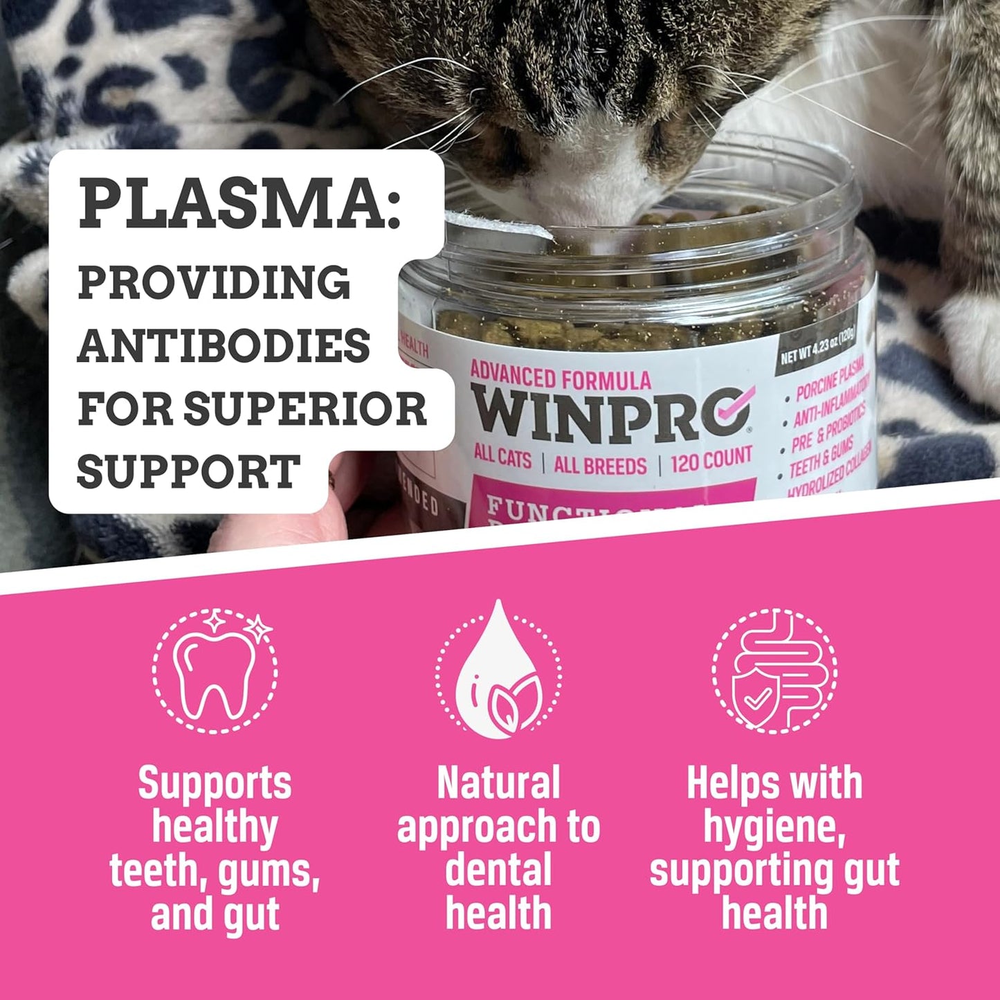 WINPRO - Tasty Dental Bites for Cats, Plasma-Powered Formula for Teeth Cleaning, Gum Support & Dental Care, Probiotic Blend Catnip Treats for Gut Health, All Cat Breeds, 120 Count, Made in USA