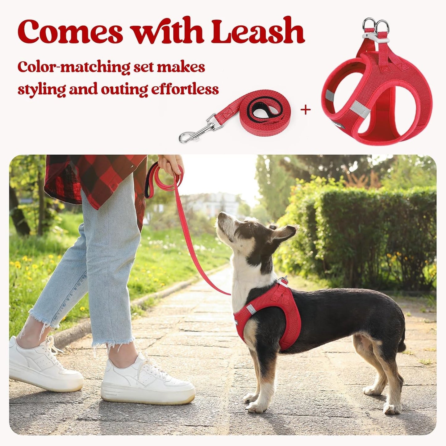 rabbitgoo Dog Harness Small Sized and Leash Set, Step in Soft Light Puppy Vest, Breathable Mesh Pet Harness, Reflective for Outdoor Safe Walking, Red XL